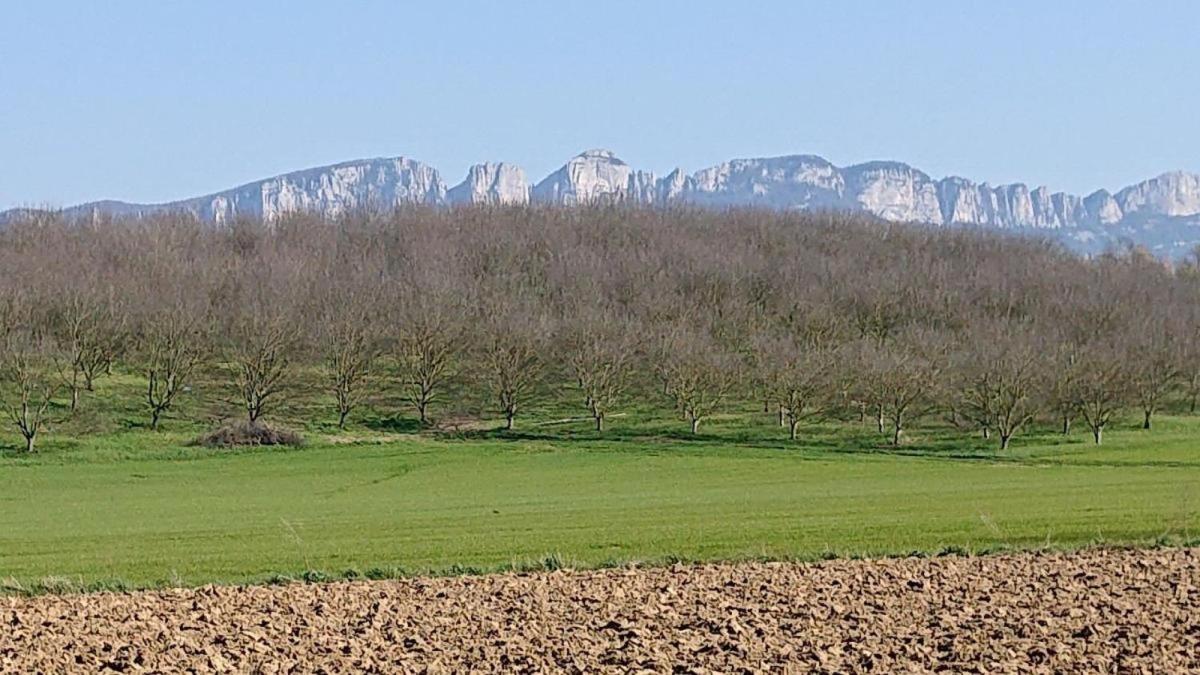 Villa Au Contact De La Nature à Chatuzange-le-Goubet Extérieur photo